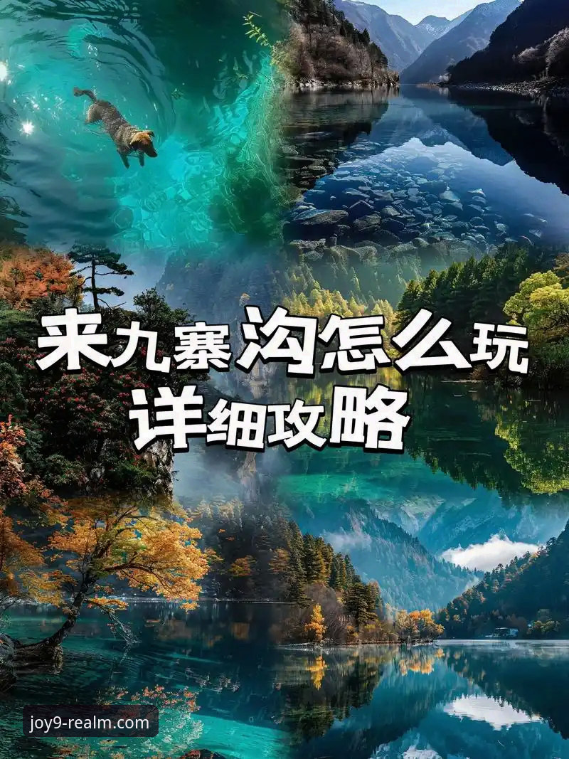 九游娱乐平台官网入口与使用完整指南：从下载到畅玩的深度解析